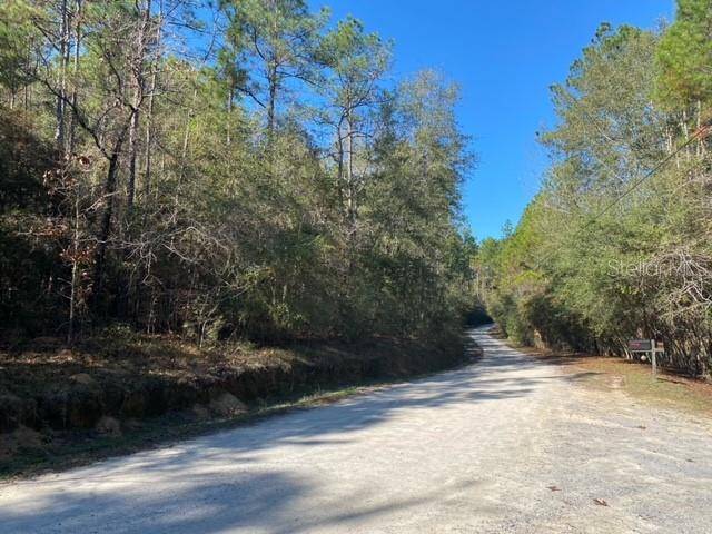 LOT 49 #O&P, Defuniak Springs, FL 32433