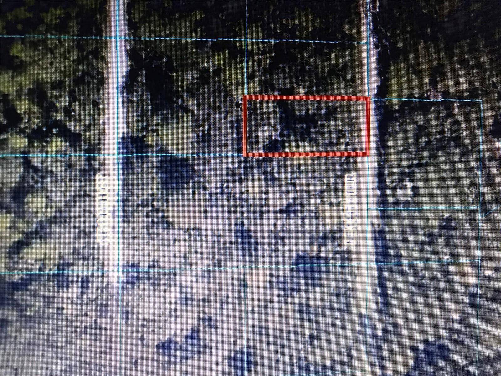 TBA NE 144TH TER, Fort Mc Coy, FL 32134