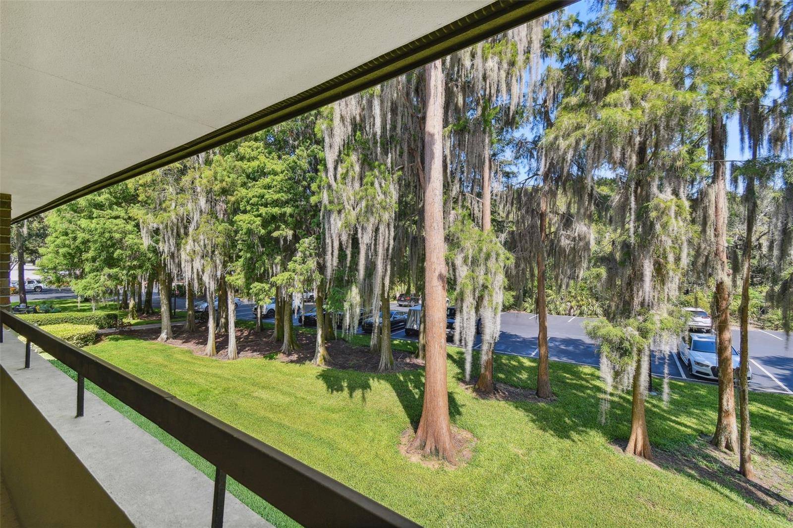 36750 US HIGHWAY 19 N #04239, Palm Harbor, FL 34684