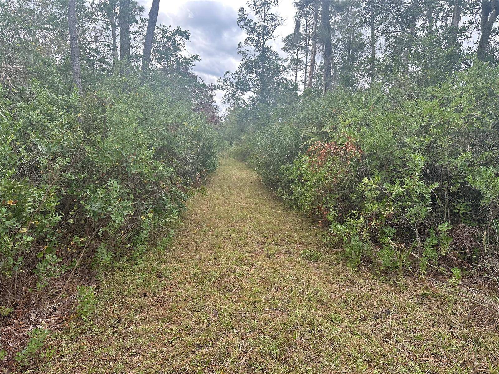 1112 GREENBRIAR DR, Christmas, FL 32709