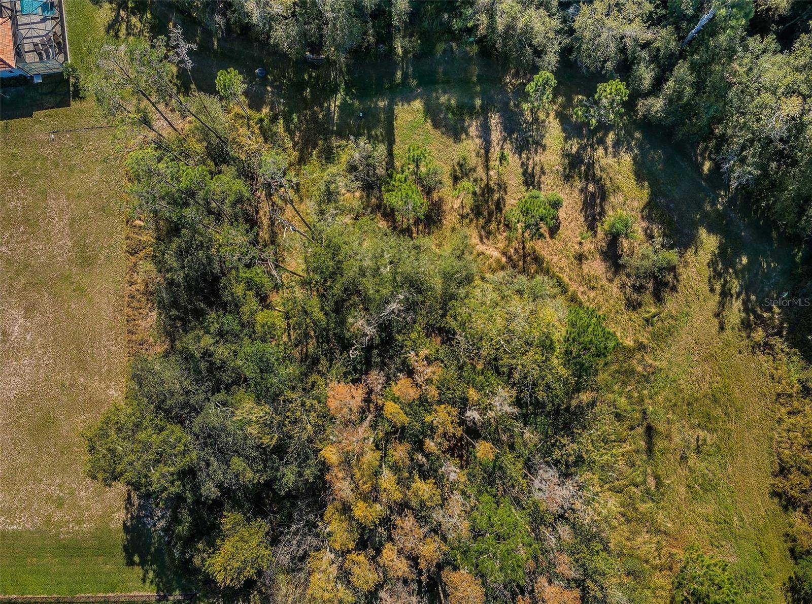 4445 LANSBROOK Pkwy, Palm Harbor, FL 34685