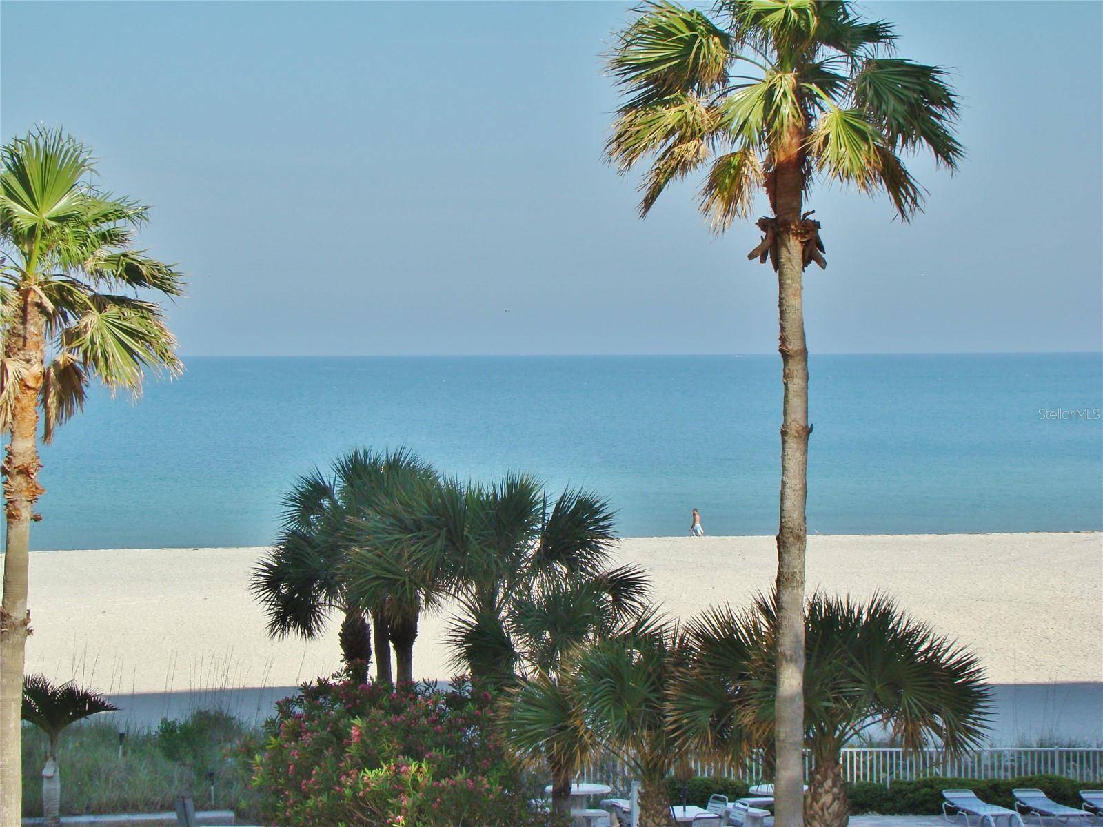 1380 GULF BLVD #206, Clearwater, FL 33767