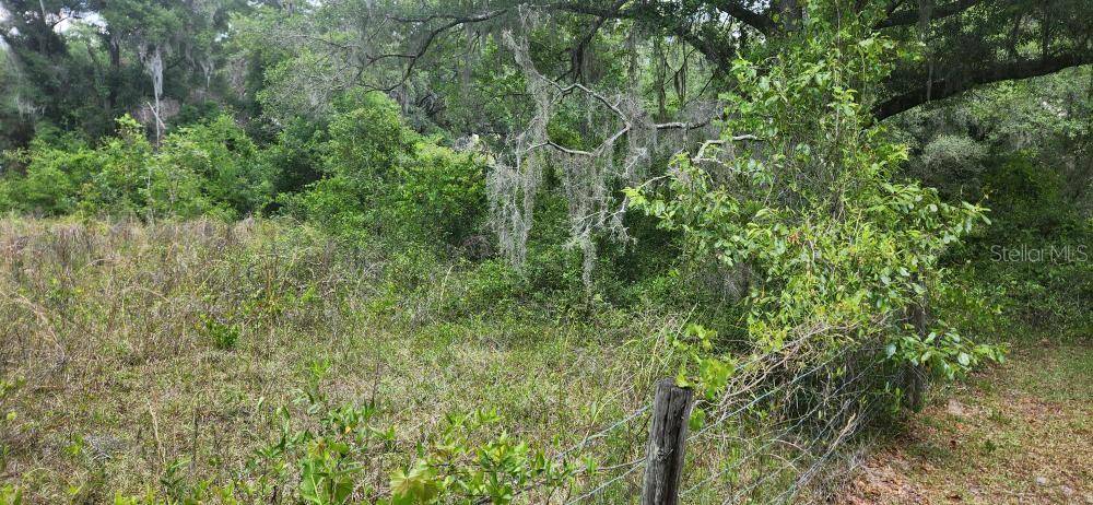 WPA RD, Brooksville, FL 34601