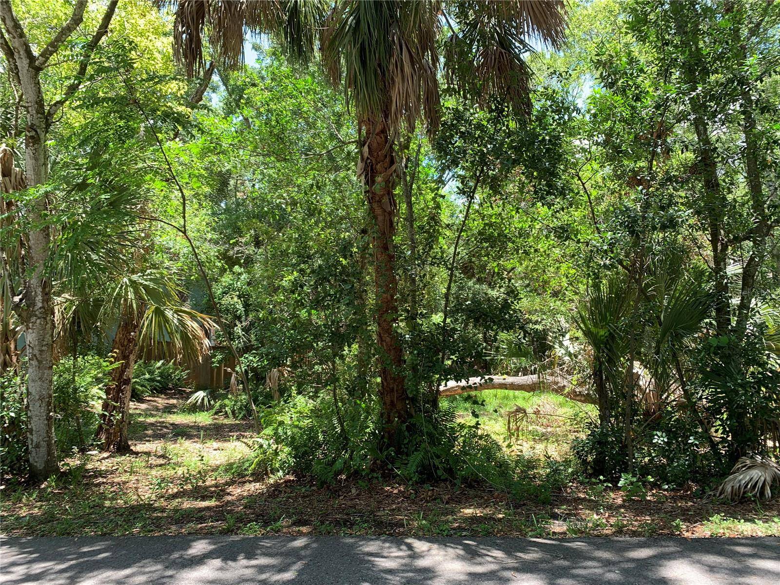 CENTER AVE, Tarpon Springs, FL 34689