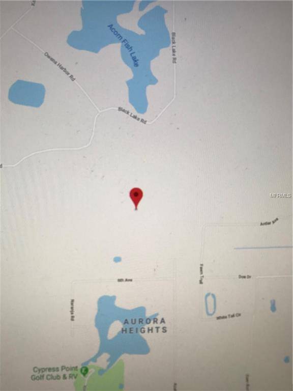 EUCALYPTUS PAPER LN, Osteen, FL 32764