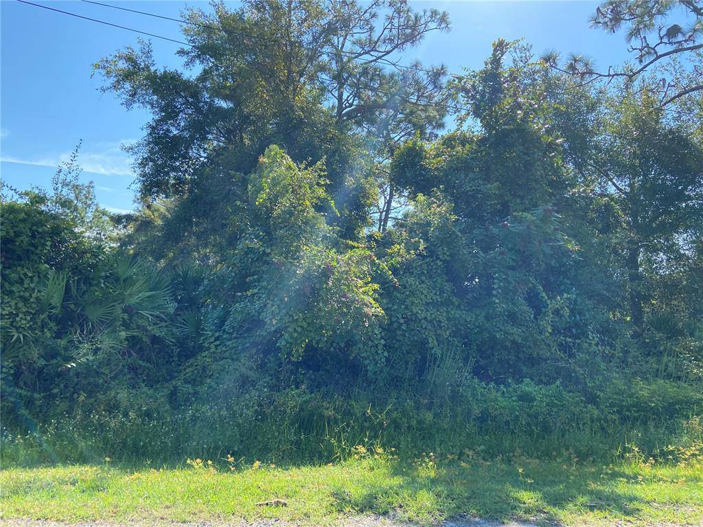 MORGAN PAPER ST, Deltona, FL 32725