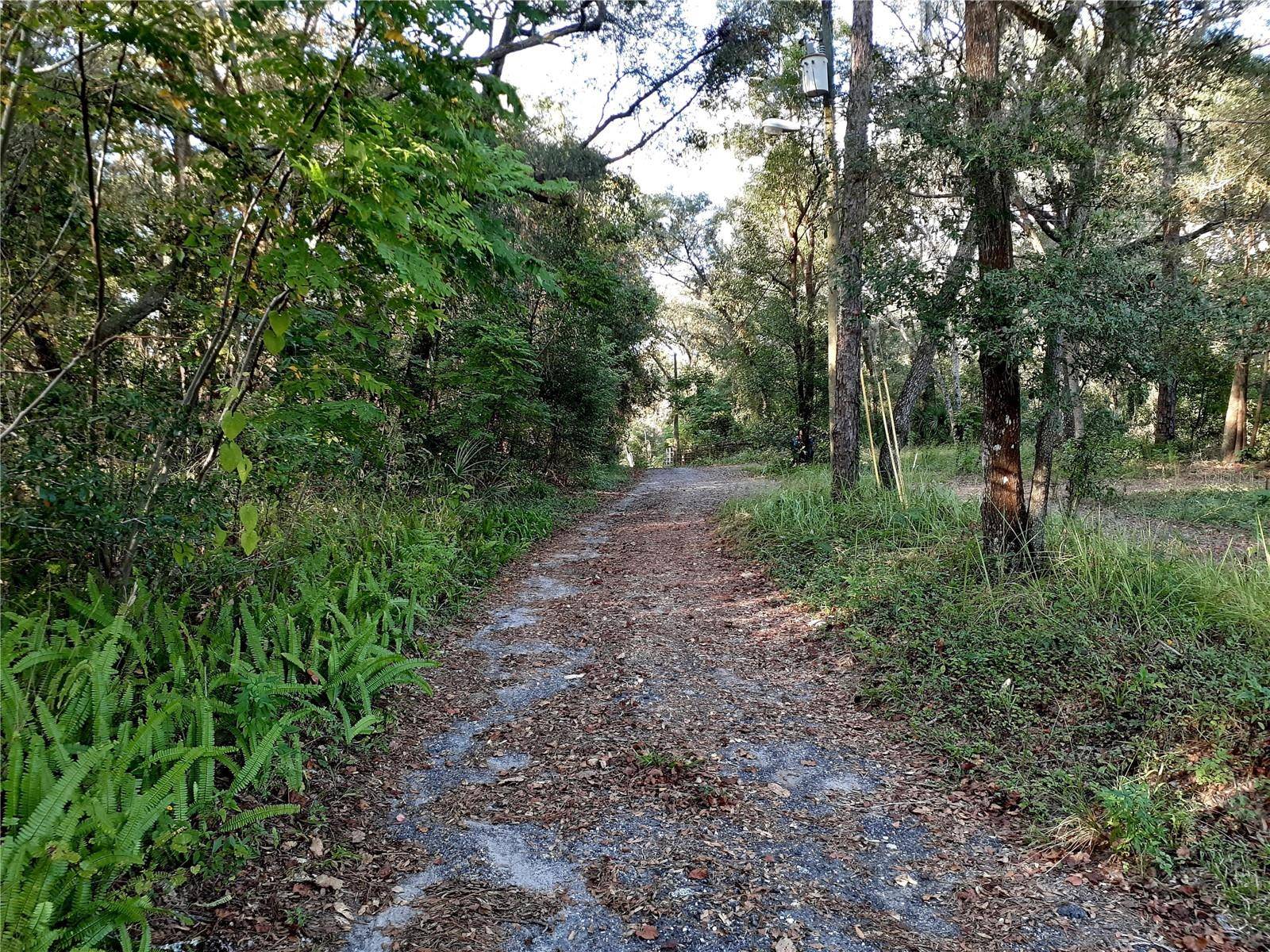 BLUE RIDGE AVE, Orange City, FL 32763