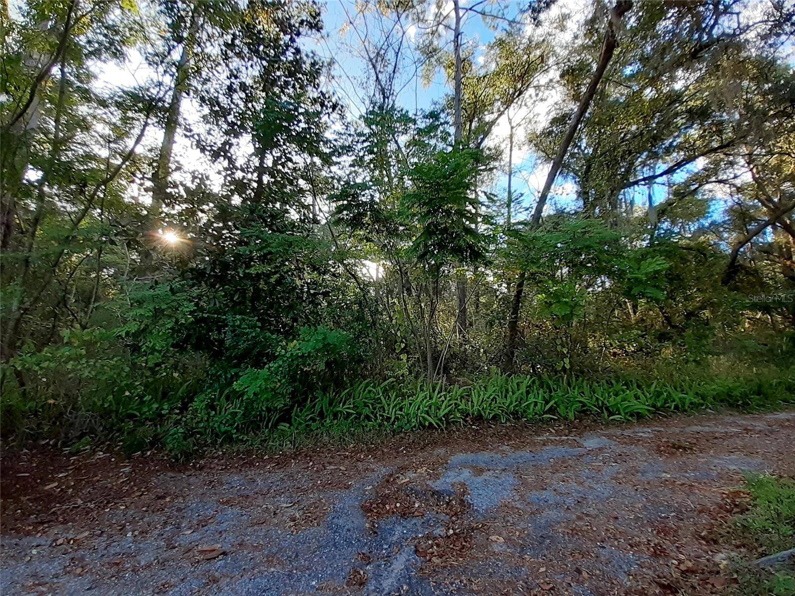 BLUE RIDGE AVE, Orange City, FL 32763