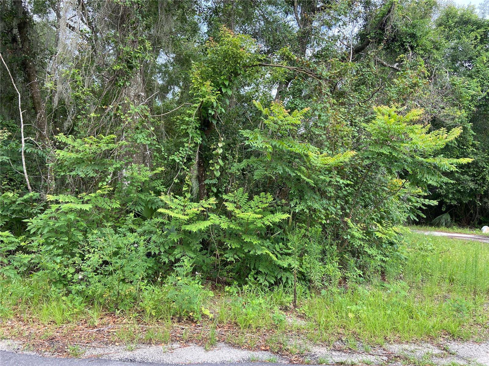 WILSON AVE, Deland, FL 32720