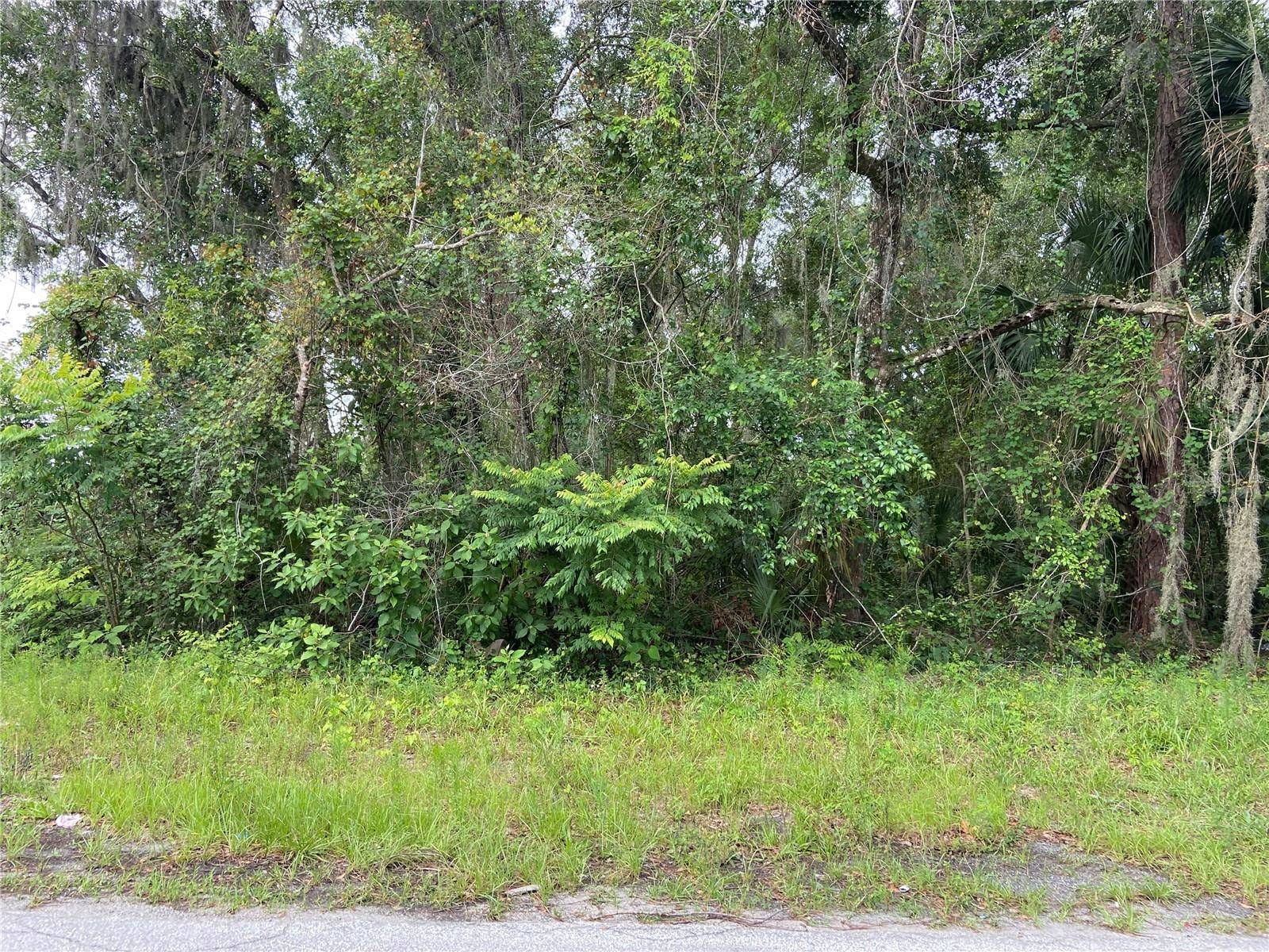 WILSON AVE, Deland, FL 32720