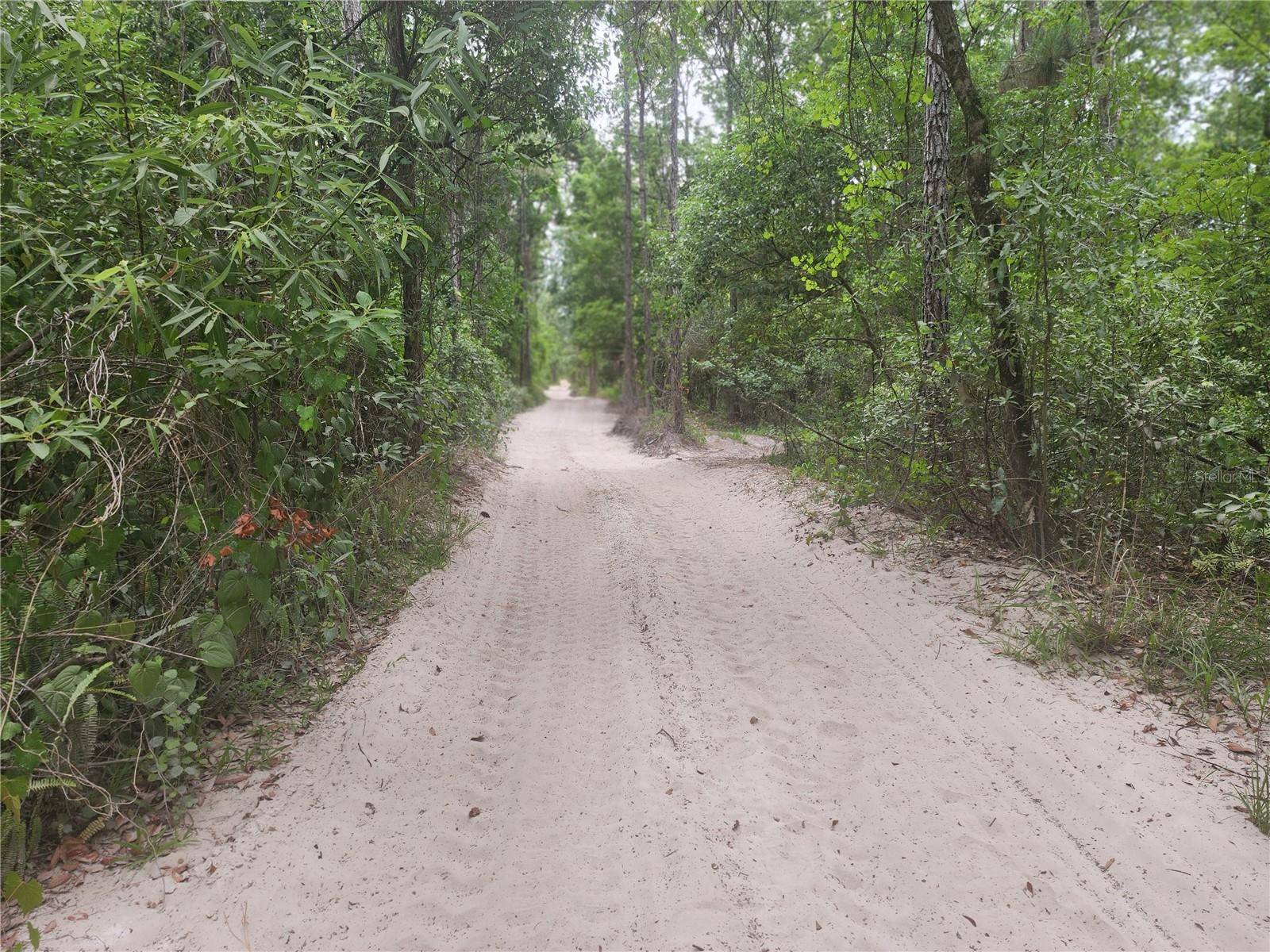 12TH AVE DELAND, Deland, FL 32724