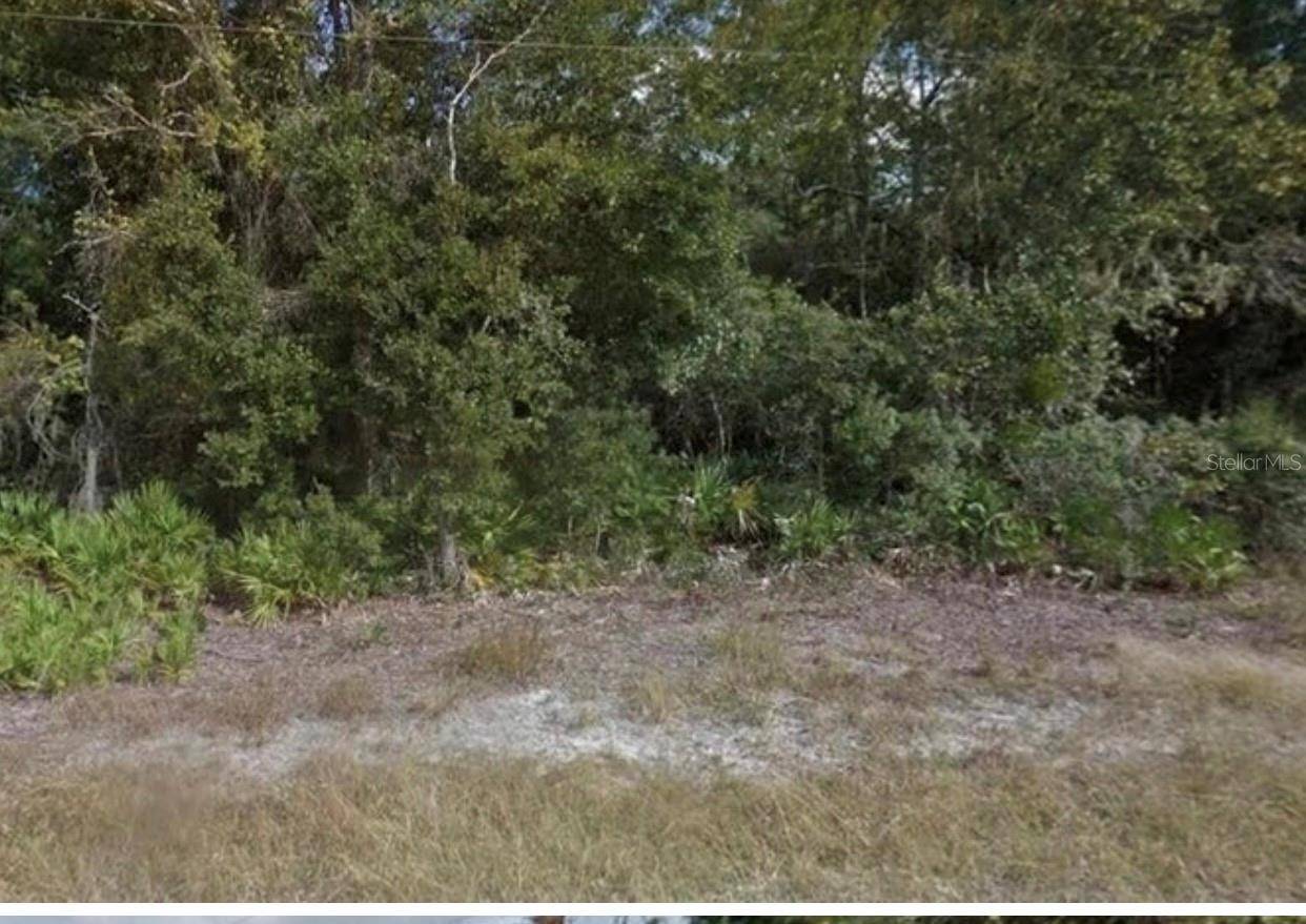 0 MITCHELL AVE, Mims, FL 32754