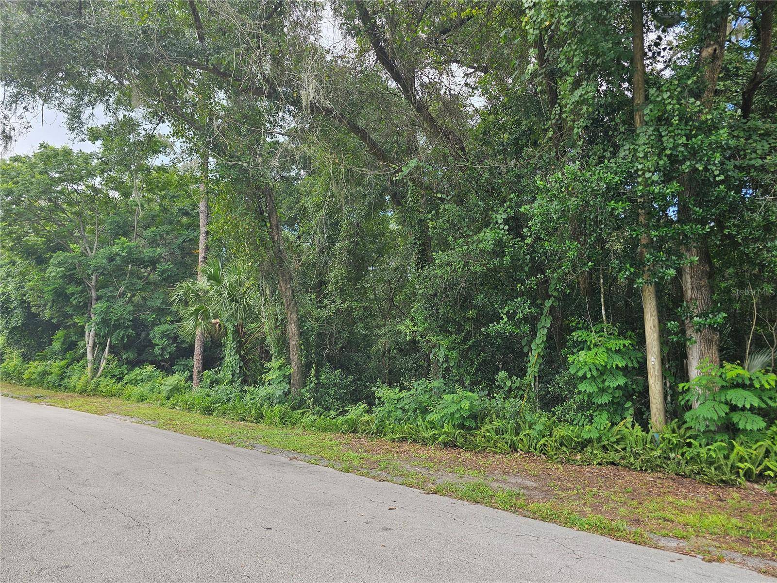 N CARPENTER AVE, Orange City, FL 32763