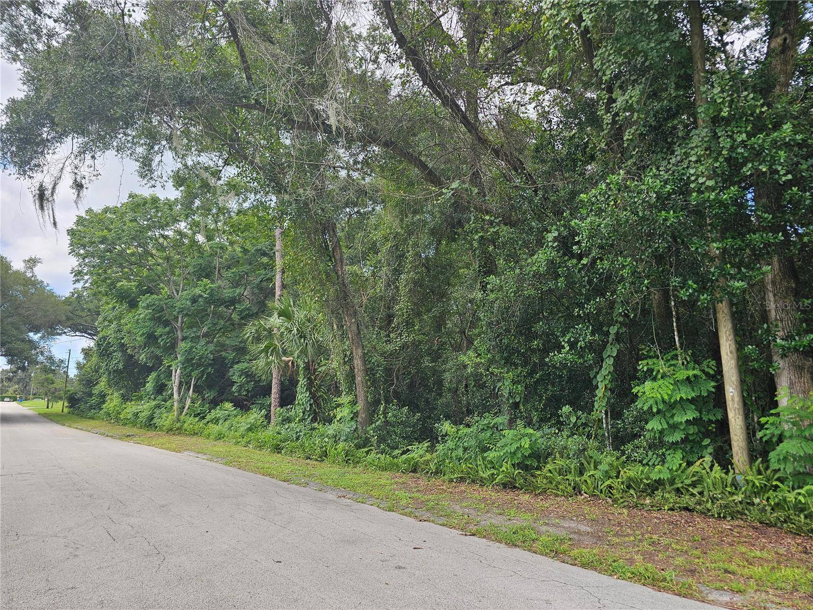 N CARPENTER AVE, Orange City, FL 32763