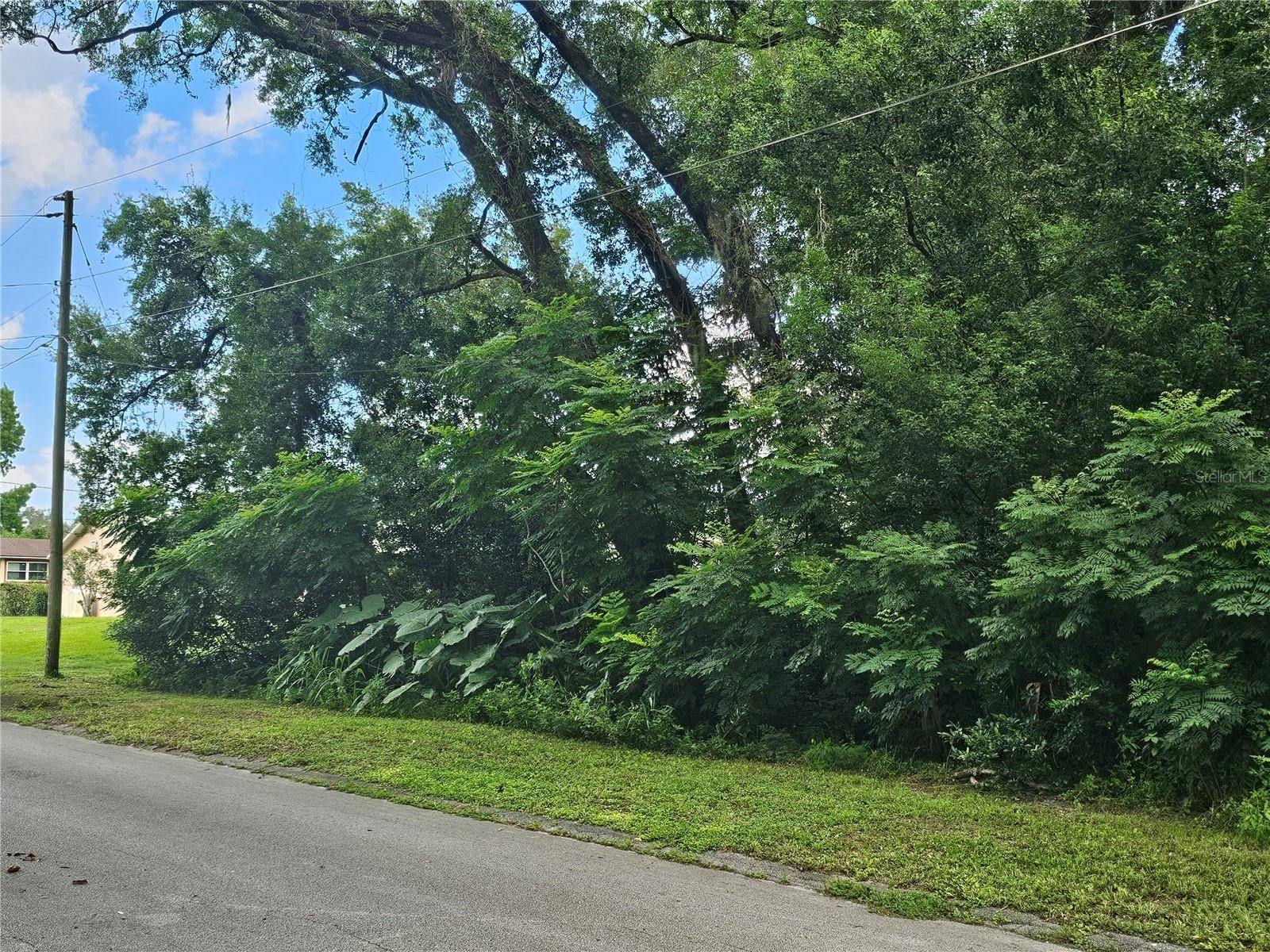N CARPENTER AVE, Orange City, FL 32763