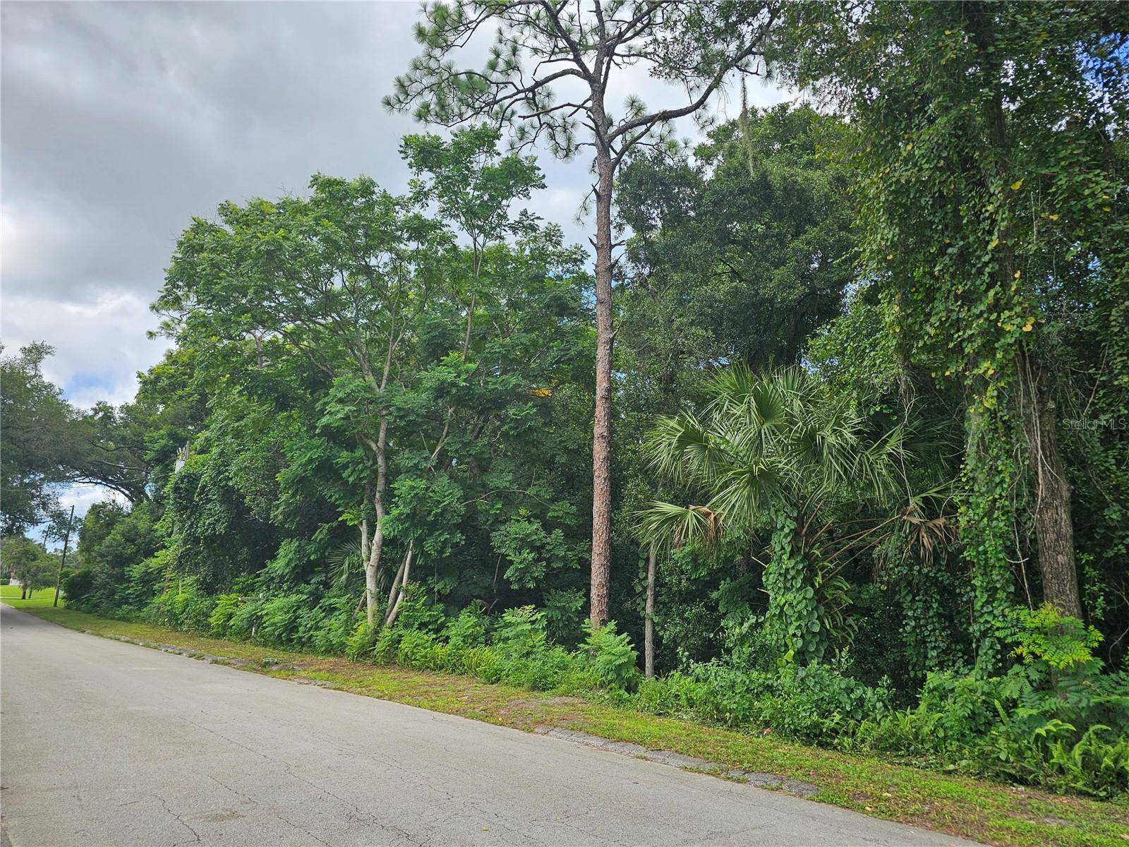 N CARPENTER AVE, Orange City, FL 32763