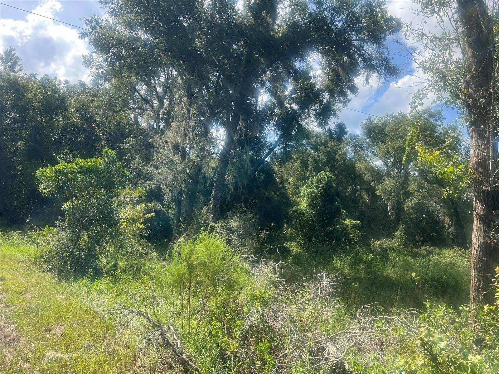 1215 ARREDONDO GRANT RD, De Leon Springs, FL 32130