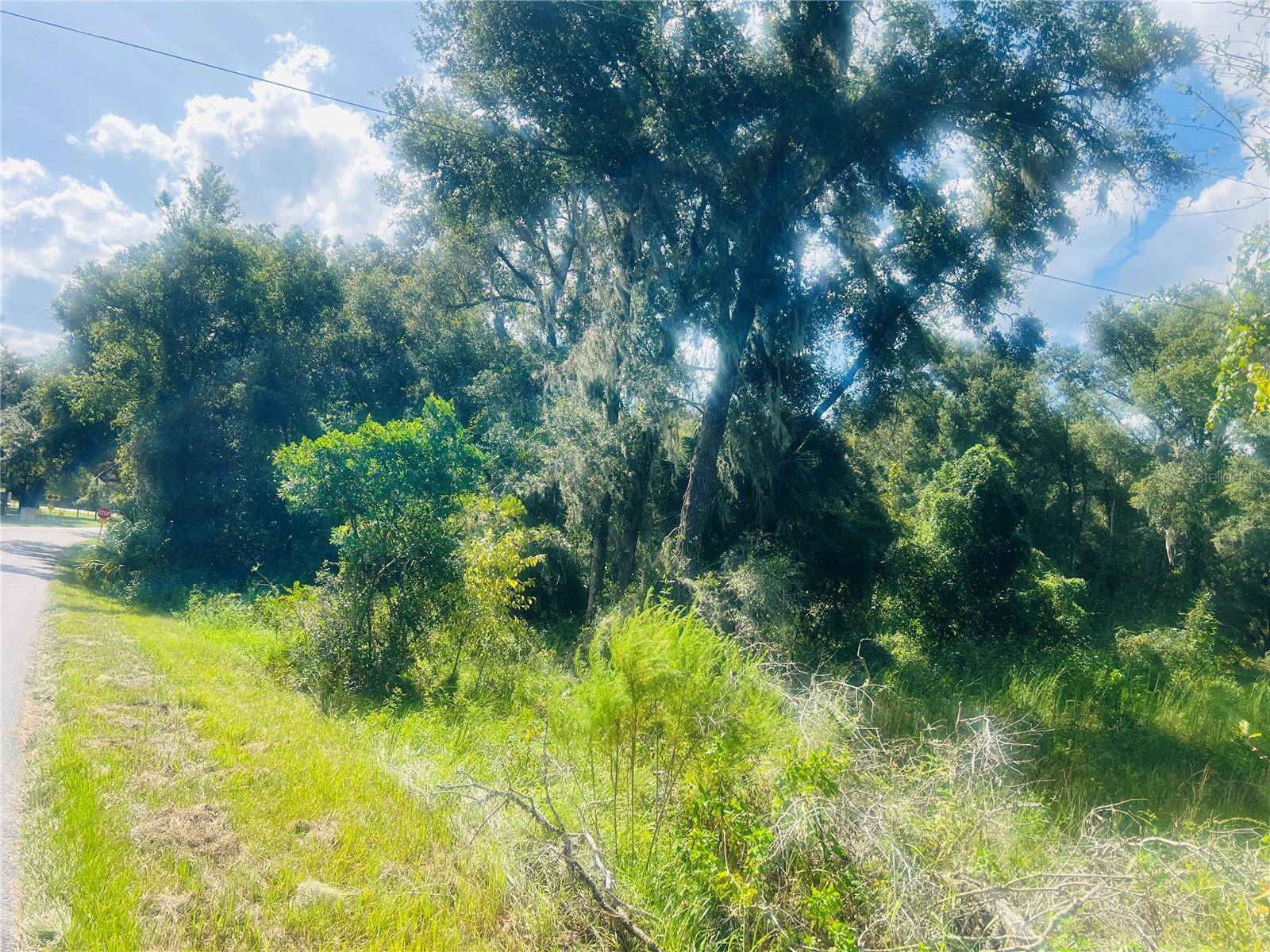 1215 ARREDONDO GRANT RD, De Leon Springs, FL 32130
