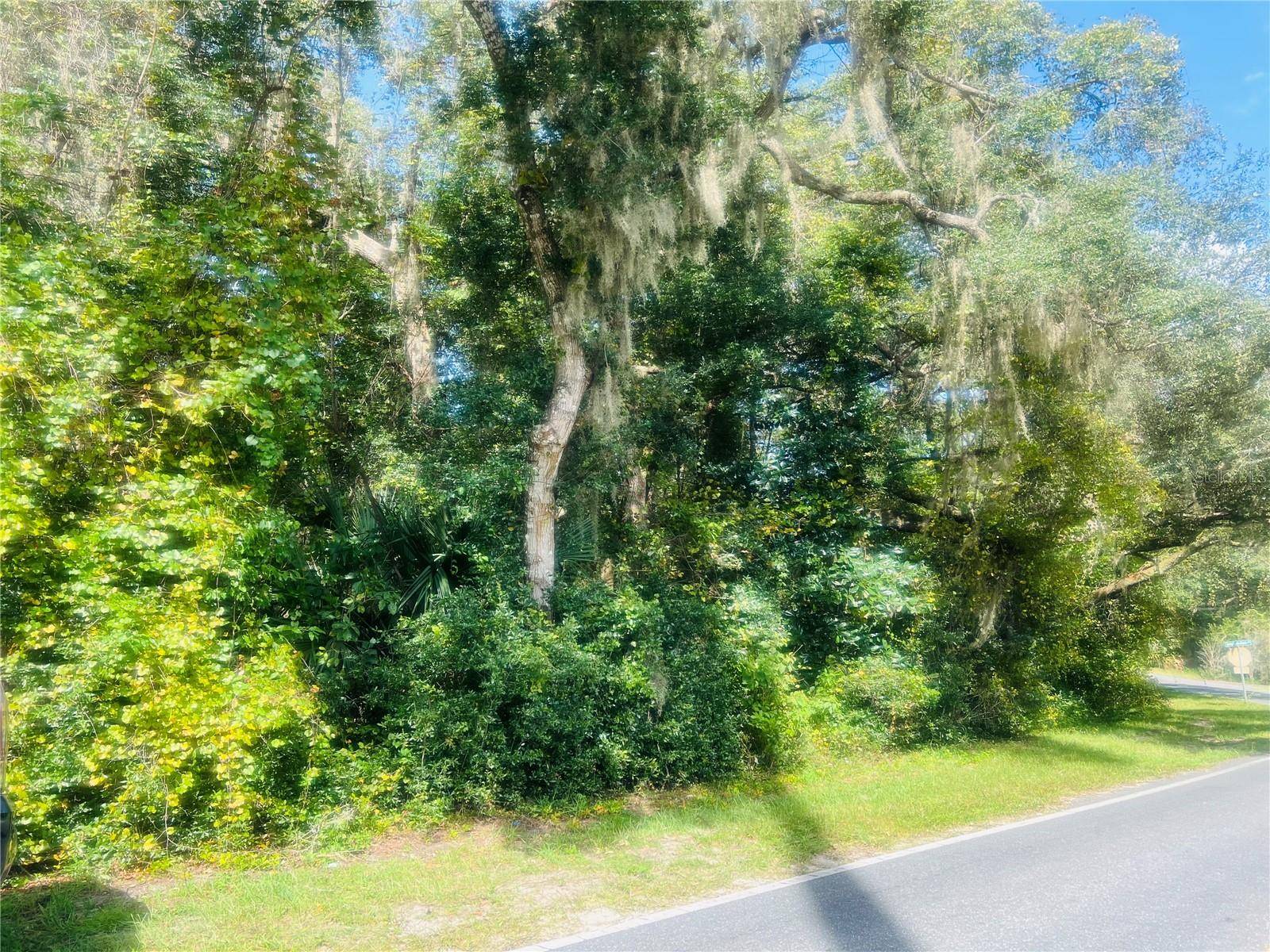 1215 ARREDONDO GRANT RD, De Leon Springs, FL 32130