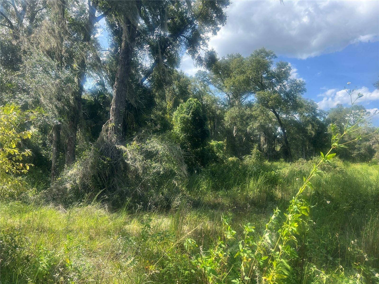 1215 ARREDONDO GRANT RD, De Leon Springs, FL 32130