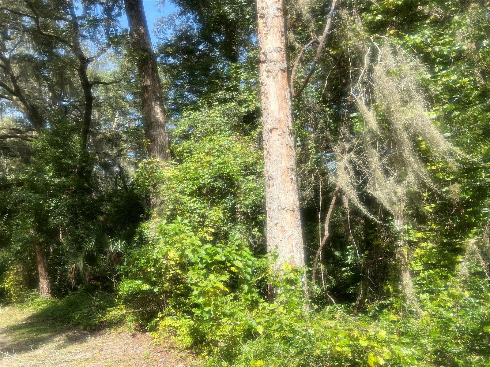 1215 ARREDONDO GRANT RD, De Leon Springs, FL 32130