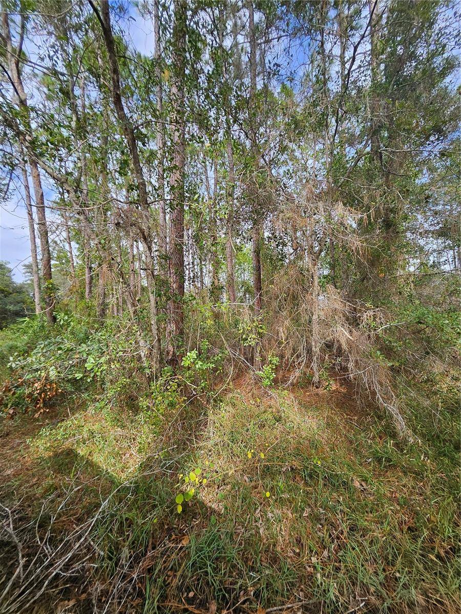 Address not disclosed, Deltona, FL 32738