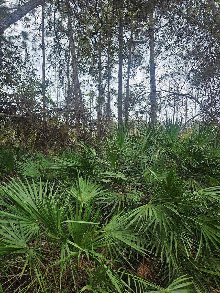 Address not disclosed, Deltona, FL 32738