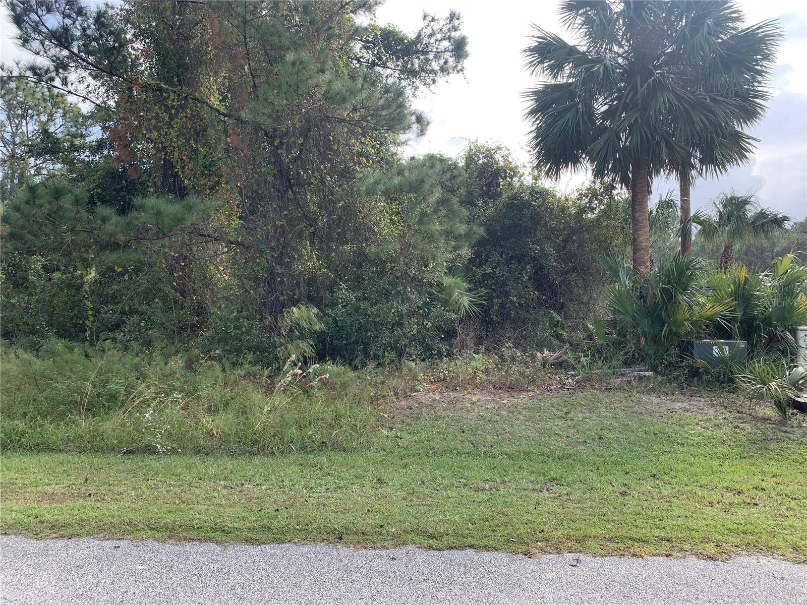 220 LIVE OAK BLVD, Crescent City, FL 32112