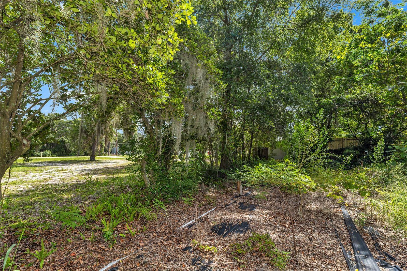 0 SPRING LAKE RD, Fruitland Park, FL 34731