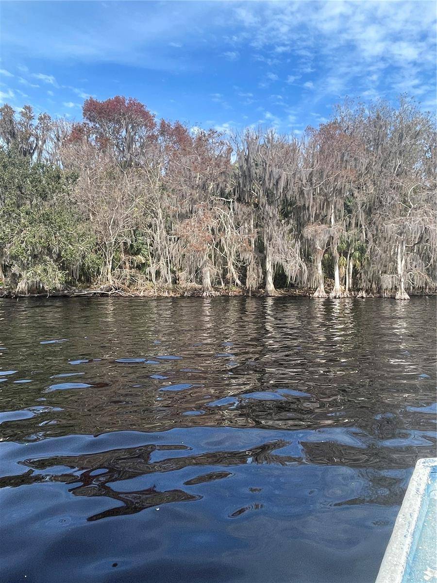 233 STELLA RD, Georgetown, FL 32139