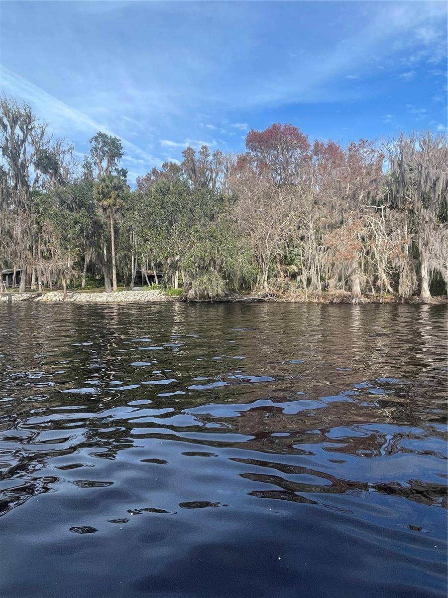 233 STELLA RD, Georgetown, FL 32139
