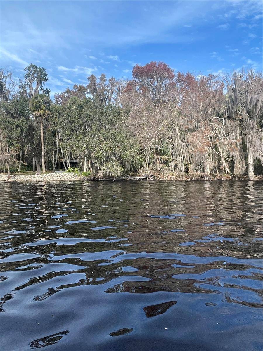 233 STELLA RD, Georgetown, FL 32139