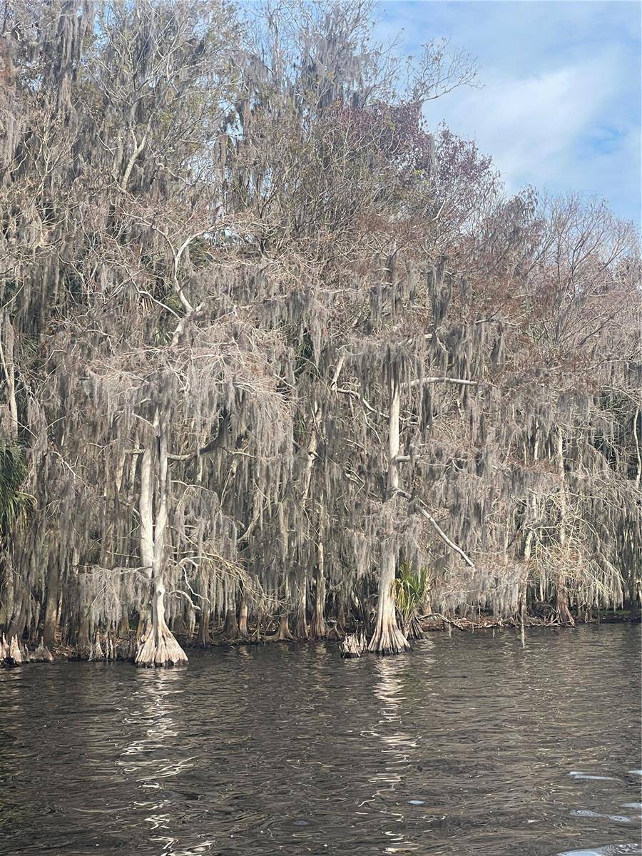 233 STELLA RD, Georgetown, FL 32139
