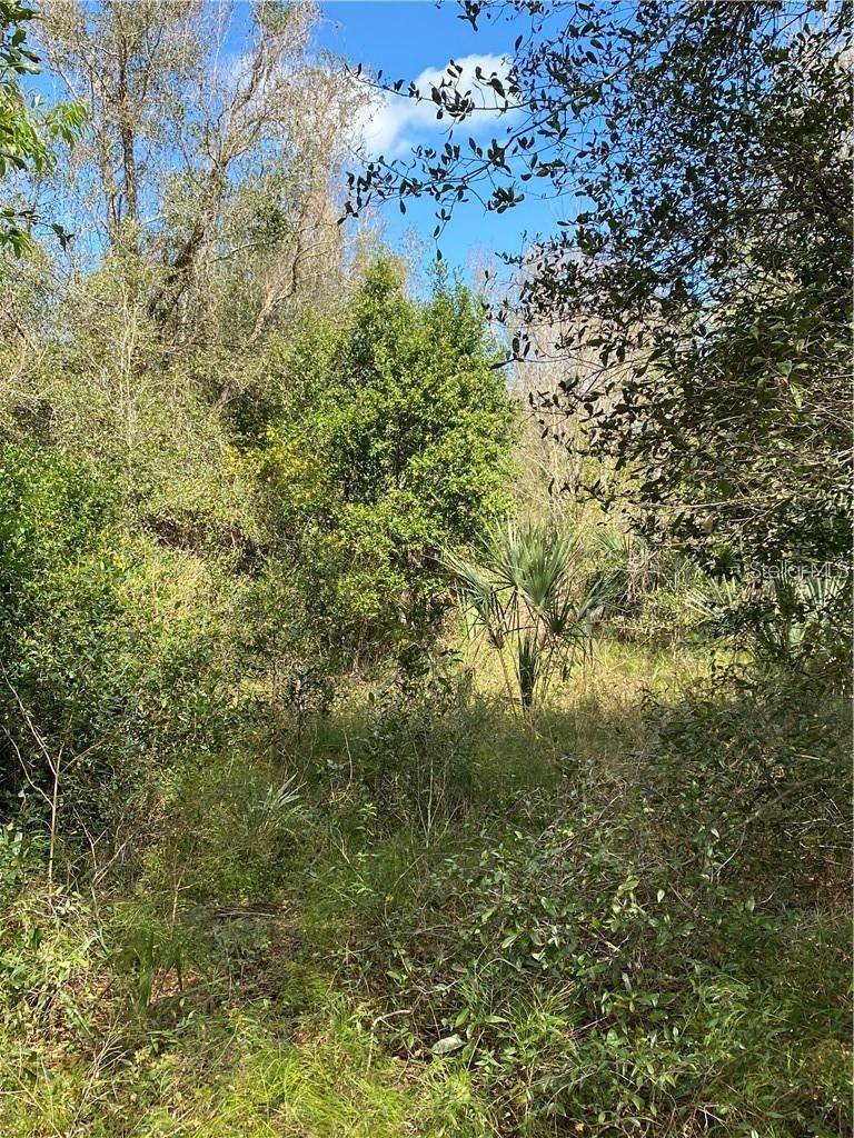 W BERESFORD RD, Deland, FL 32720