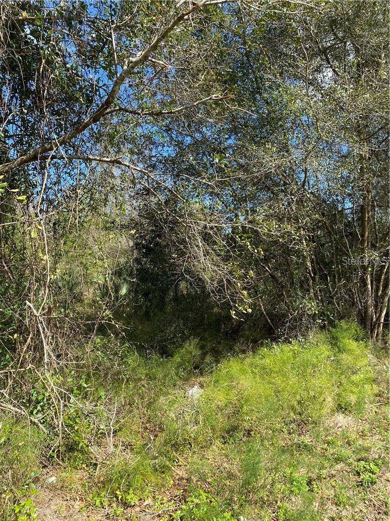 W BERESFORD RD, Deland, FL 32720