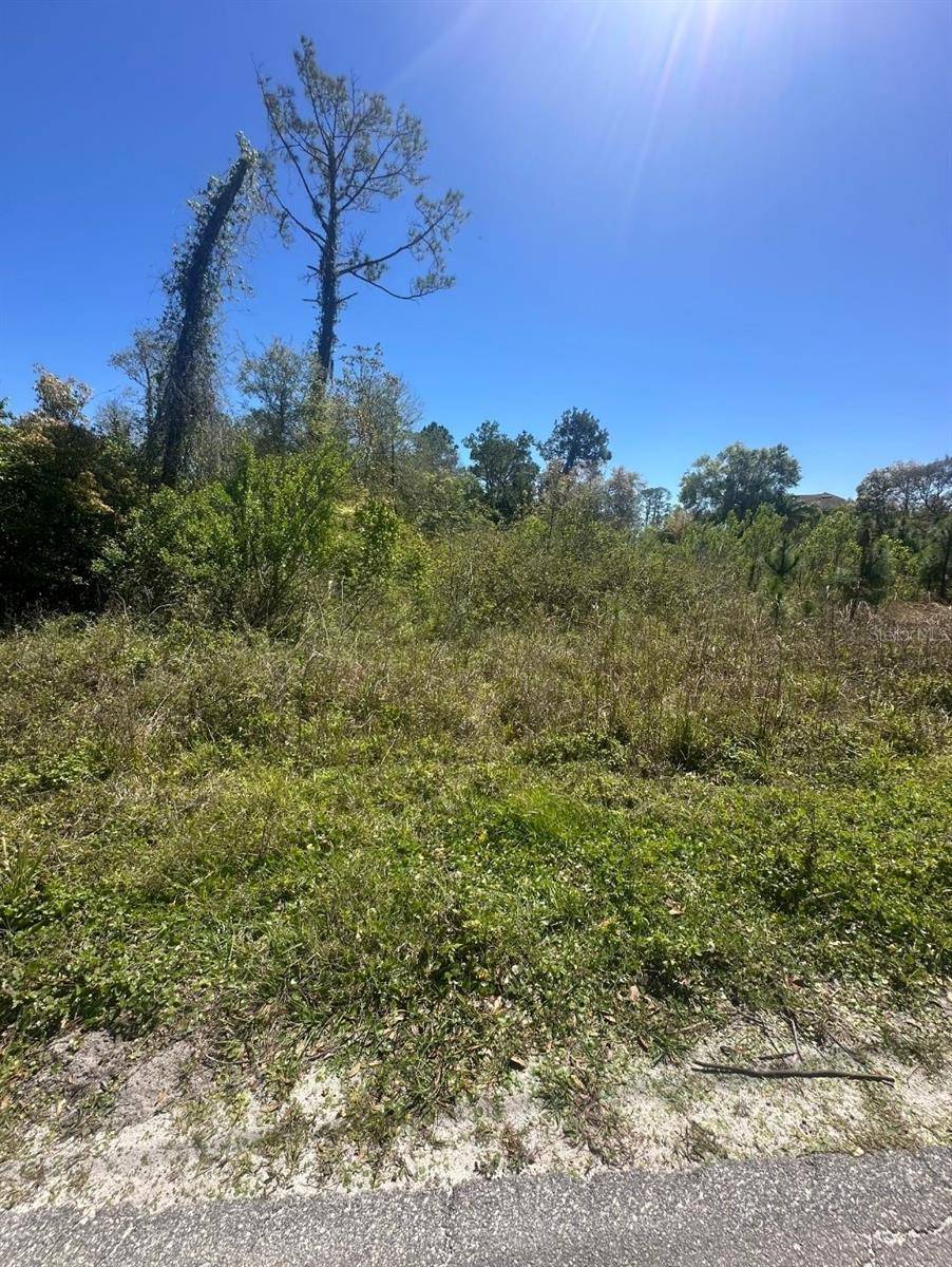 2548 E LAKE DR, Deland, FL 32724