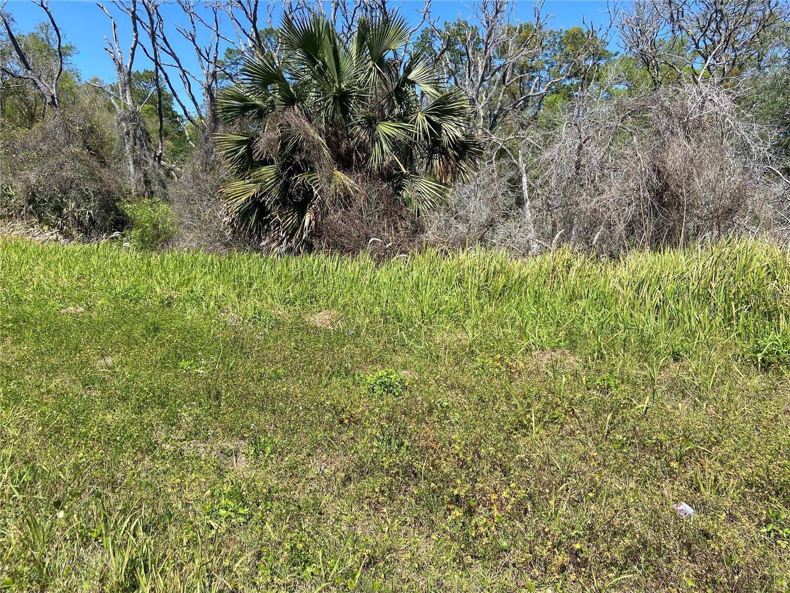 PARCEL 27 15 30 00 00 0160, De Leon Springs, FL 32130