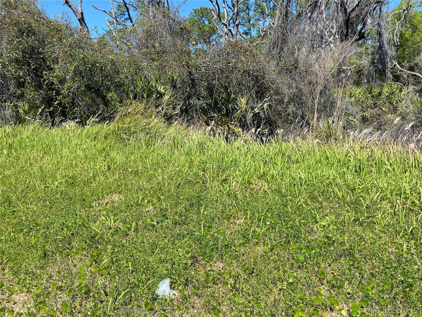 PARCEL 27 15 30 00 00 0160, De Leon Springs, FL 32130
