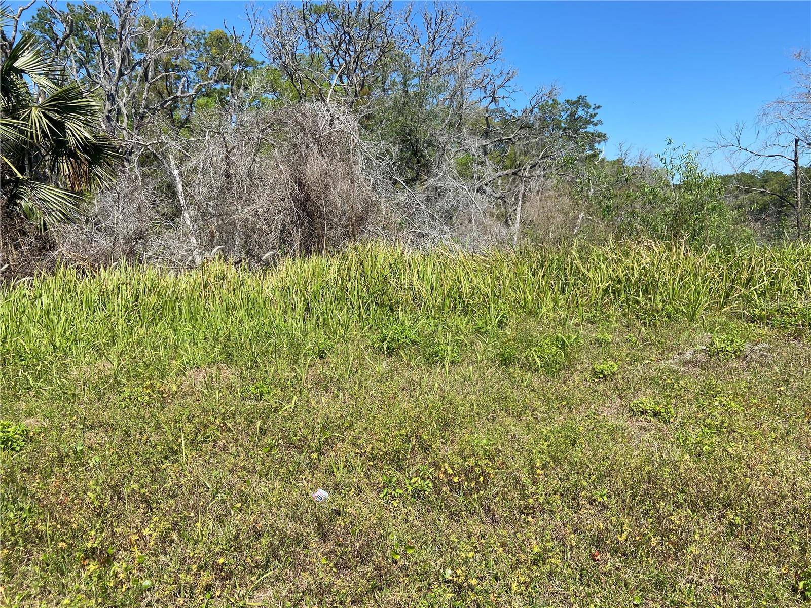 PARCEL 27 15 30 00 00 0200, De Leon Springs, FL 32130