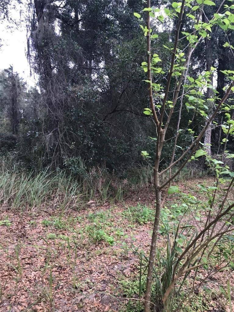 260 MERCERS FERNERY RD, Deland, FL 32720