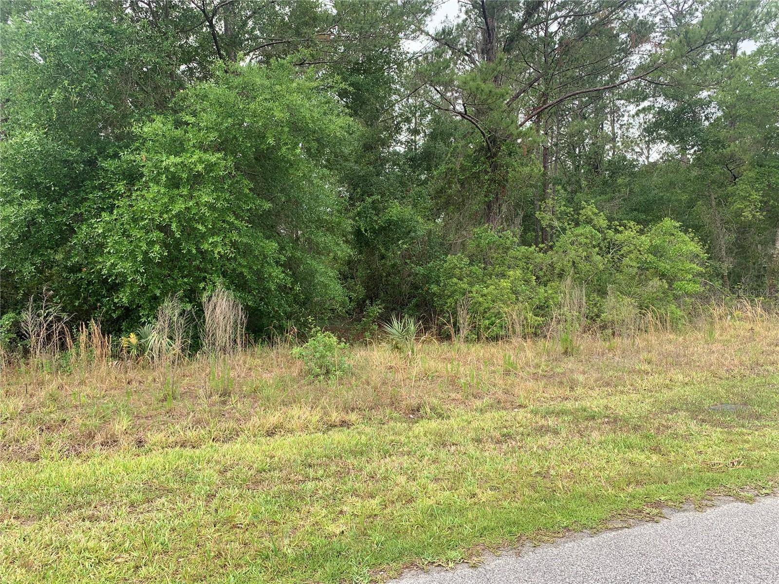 525 LIVE OAK LOOP, Crescent City, FL 32112