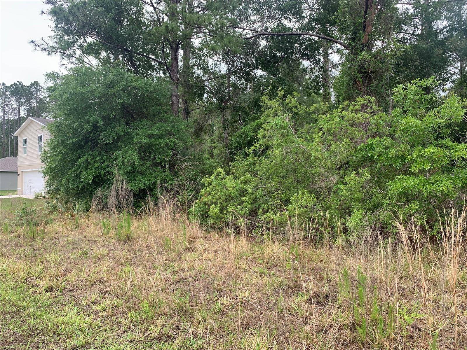 525 LIVE OAK LOOP, Crescent City, FL 32112