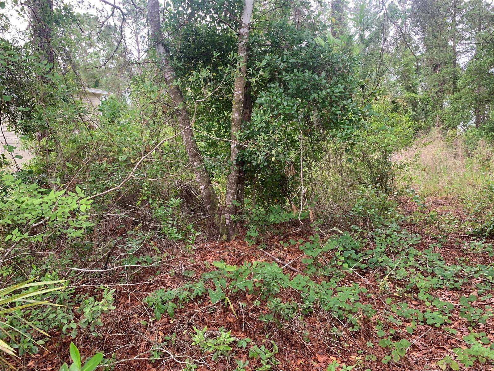 525 LIVE OAK LOOP, Crescent City, FL 32112