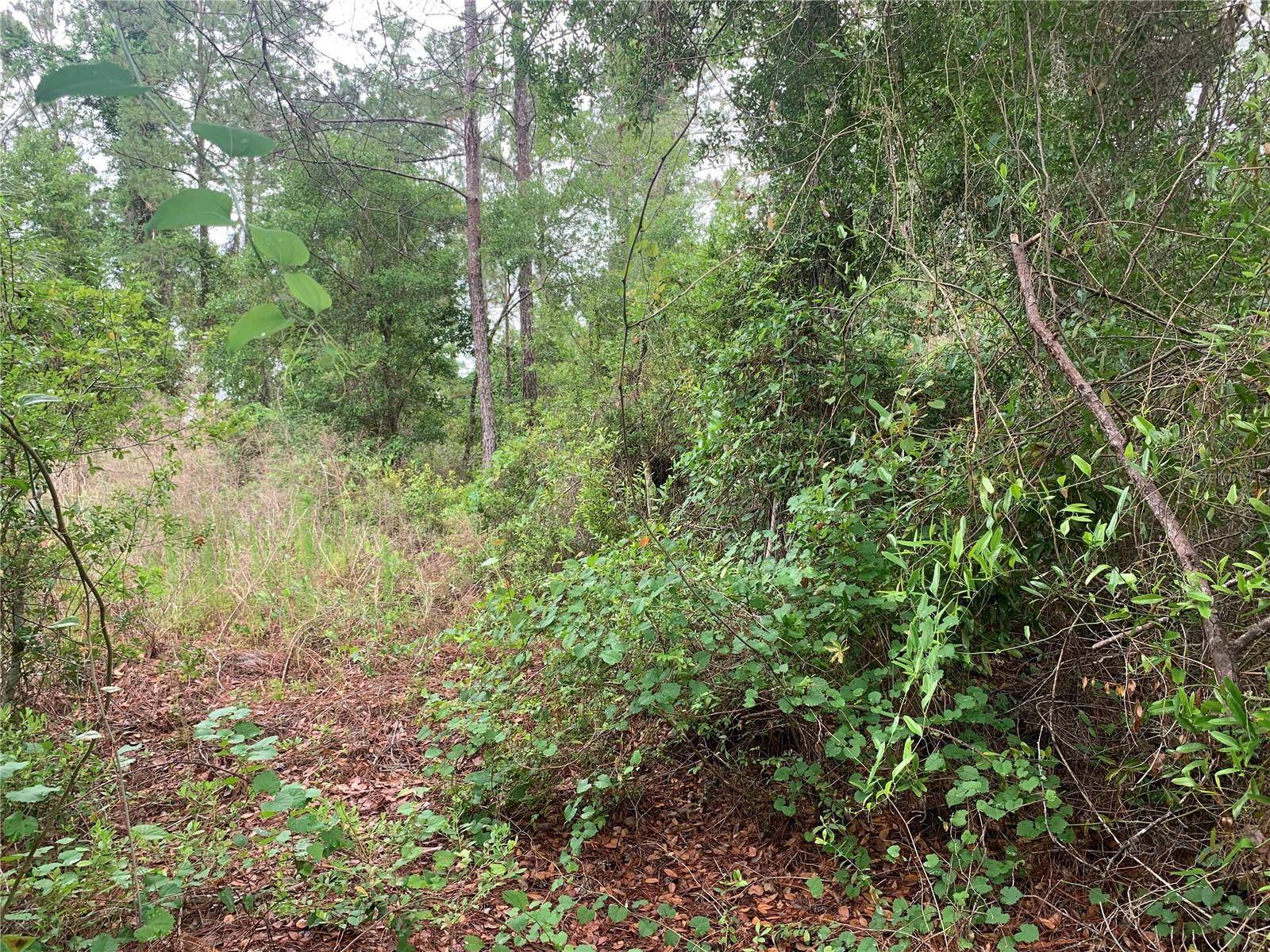 525 LIVE OAK LOOP, Crescent City, FL 32112