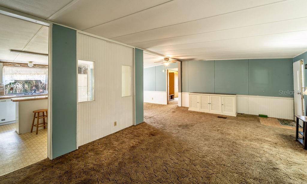 24031 ARMADILLO RD, Astor, FL 32102