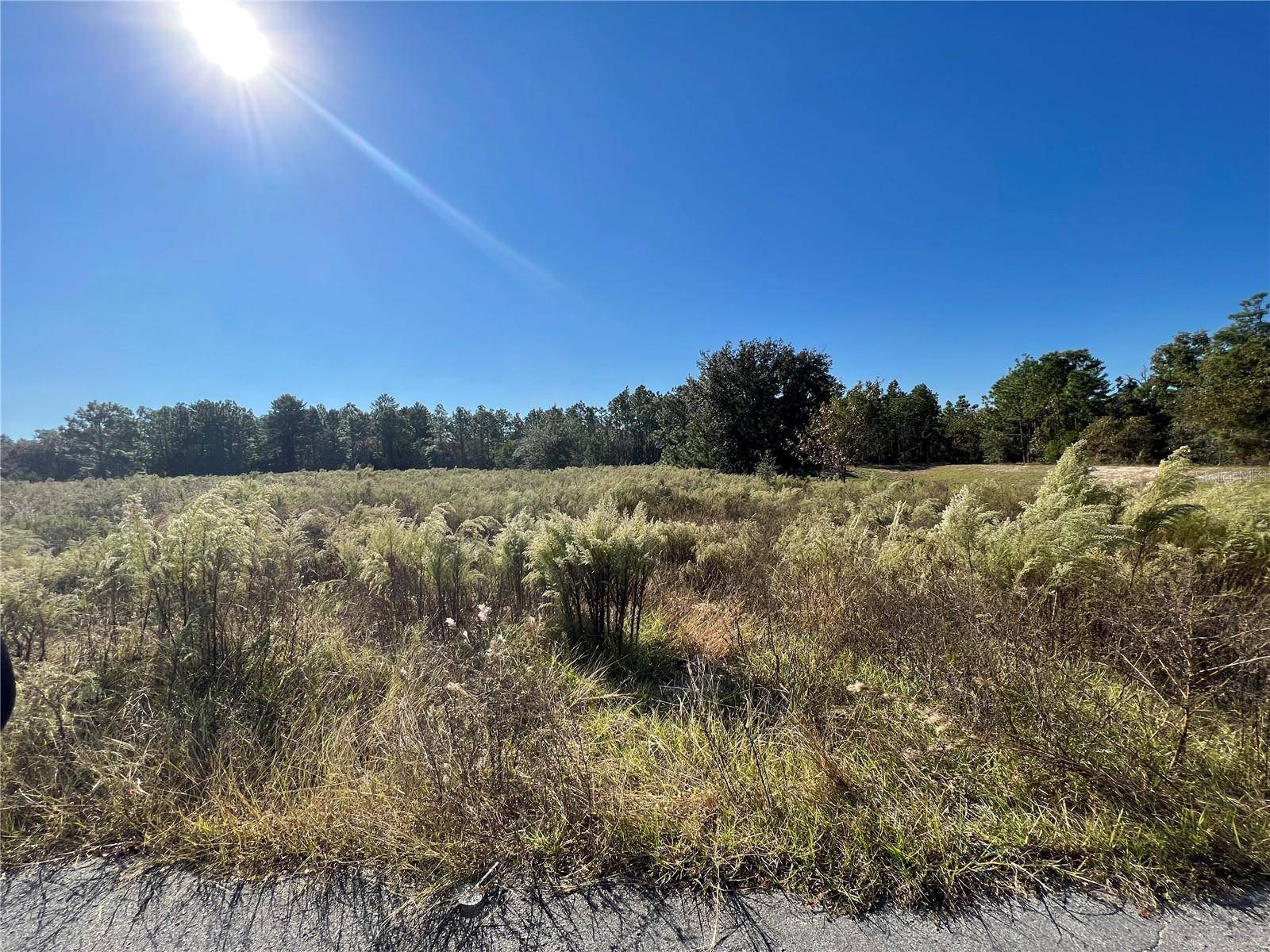 12160 KADRI BLVD, Spring Hill, FL 34608