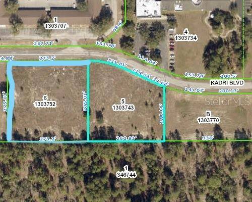 12160 KADRI BLVD, Spring Hill, FL 34608