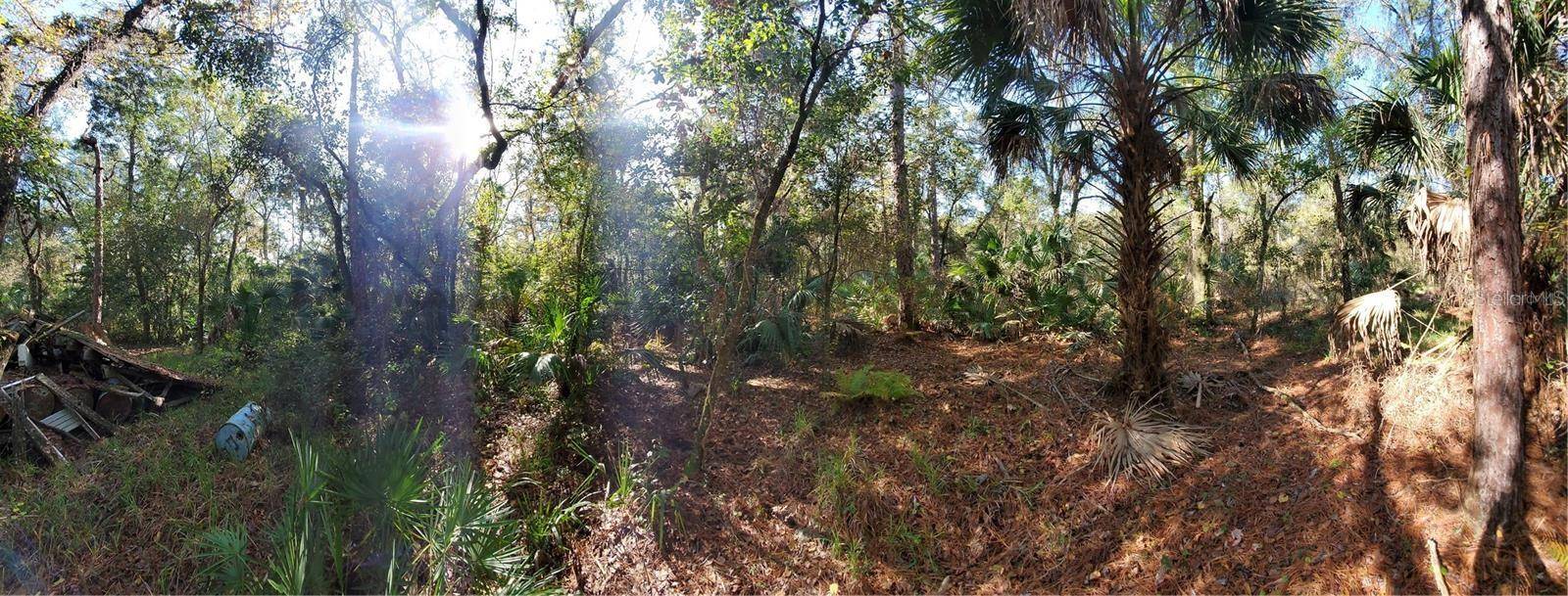 8738 LINDY LN, New Port Richey, FL 34655