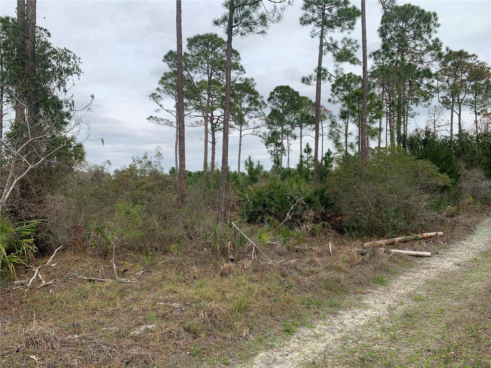 Address not disclosed, Cedar Key, FL 32625