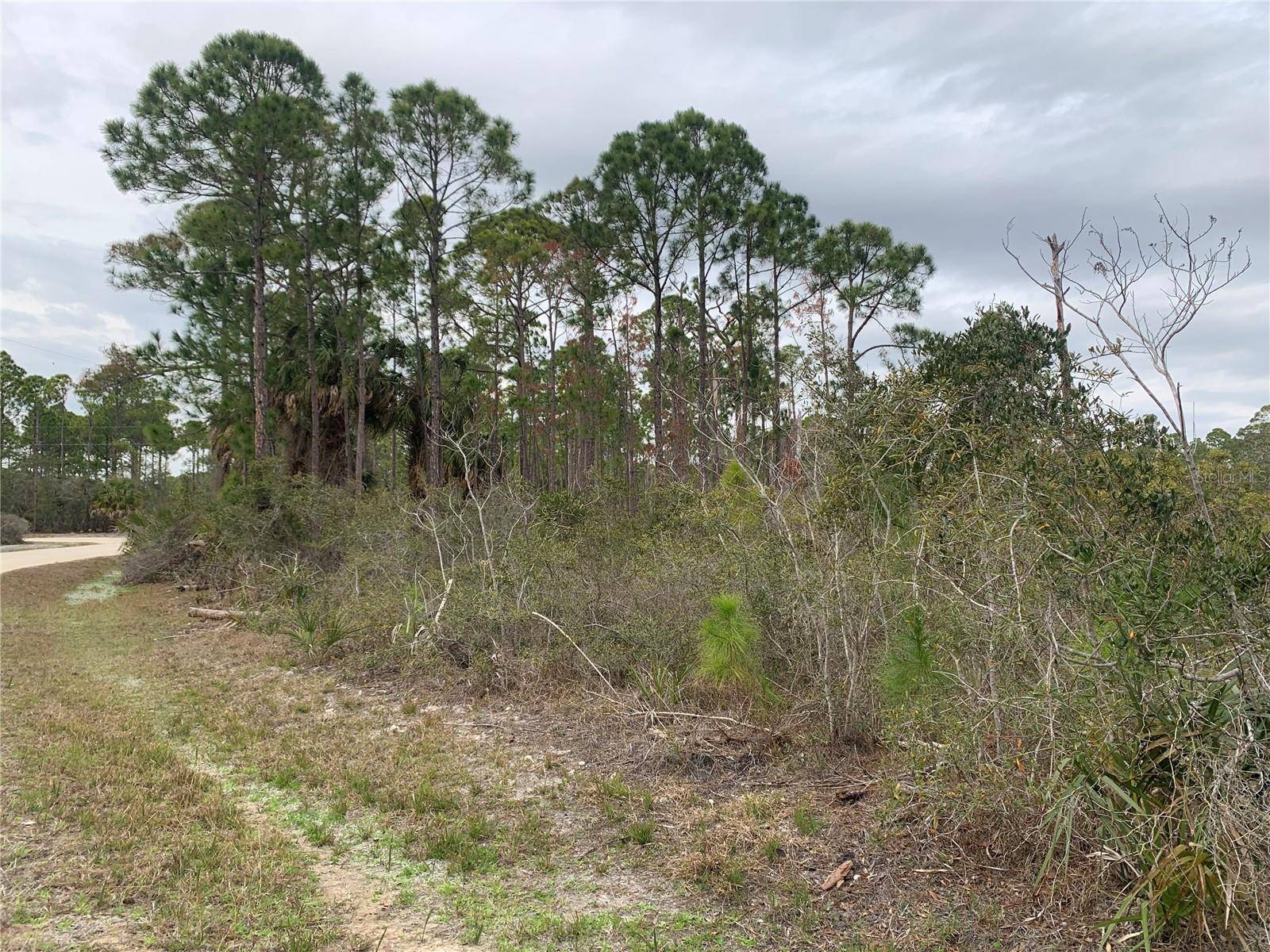 Address not disclosed, Cedar Key, FL 32625